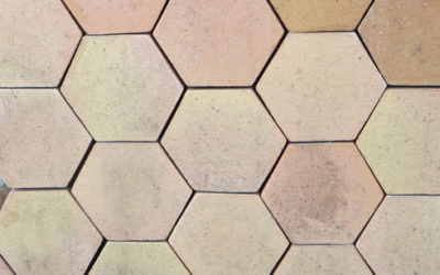 Comment entretenir ses tomettes ?
